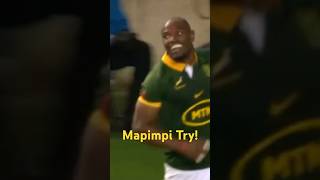 Makazole Mapimpi Try vs Scotland  springboks rugby 2024 rugby springboks [upl. by Bertha]