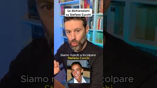 Le dichiarazioni su Stefano Cucchi [upl. by Marijo]