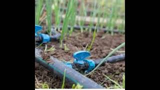 Drip Irrigation System [upl. by Naahsar]