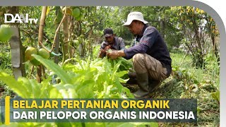 Ini Dia Pelopor Pertanian Organik di Indonesia Sejak 1984  Agatho Farm [upl. by Macri]