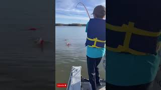 Catfishing With Hellcat Rods fisherman fishinglife catfish [upl. by Nyltyak]