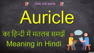 Auricle meaning in Hindi  Auricle meaning  Auricle  Auricle Example How to pronounce Auricle [upl. by Cerell]