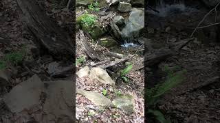 Babbling brook nature peaceful [upl. by Messing]