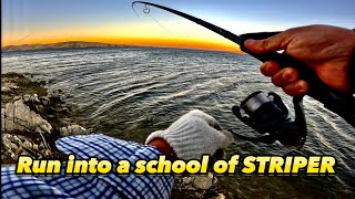 New Shimano Exsence XR SLR Striper Fishing Found A School Of Fish [upl. by Akin209]