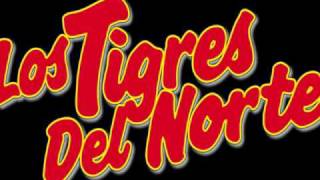 Tigres del Norte  Si No Me Falla El Corazón [upl. by Eniamsaj782]