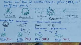 Stem cells definition characteristic amp its types stemcells zoologynotes alkaranigupta8791 [upl. by Gellman]