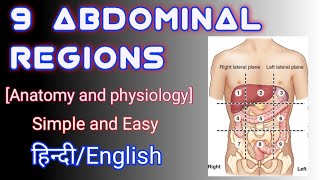 HUMAN BODY REGIONS  9 ABDOMINAL REGIONS  ABDOMINOPELVIC REGIONS  BY NAMAN MISHRA [upl. by Avilla]