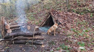 Solo Winter Bushcraft Camp Campfire Cooking Making a Slingshot Off Grid wilderness camping [upl. by Aeresed855]