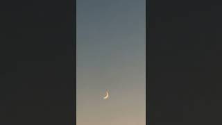 Waxing Crescent Moon or Waning Crescent Mooning [upl. by Festatus]