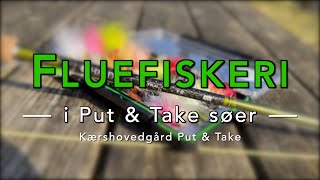 Fluefiskeri i Put amp Take Kærshovedgård Put and Take [upl. by Devinne]