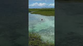 Clear kayak eco tours in the Turks amp Caicos Islands turksandcaicos clearkayak paddling mangroves [upl. by Loree740]