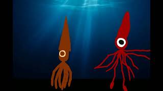 Orthocone Vs Colossal Squid [upl. by Anehs1]