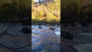 Afon Glaslyn on the way to Beddgelert [upl. by Christan]