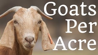 How Many Goats Per Acre [upl. by Iret]