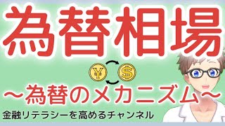 【完全解説】為替（かわせ）とは〜為替相場のメカニズムを徹底解説、初心者向けに細かく解説！〜 [upl. by Mccord]