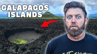 Hiking Into A Crater To Find A Galapagos Tortoise [upl. by Diamond]