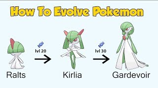 How To Evolve Pokémon  Generation 3 Hoenn Animated Sprites [upl. by Bannon]