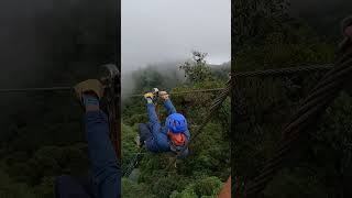 Monteverde Cloud Forest Zip Wire  Monteverde  Costa Rica shorts travel visitcostarica [upl. by Kenon]