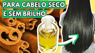 UMECTAÇÃO CAPILAR com AZEITE e CANELA para CABELO SECO e SEM BRILHO [upl. by Sokil729]