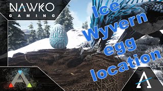 ARK Ragnarok Ice Wyvern egg Location  Alle Ice Wyvern egg Location [upl. by Aekal]