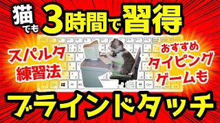 超初心者から3時間でブラインドタッチをマスターする練習方法！おすすめタイピングゲームもご紹介！ [upl. by Hillary]