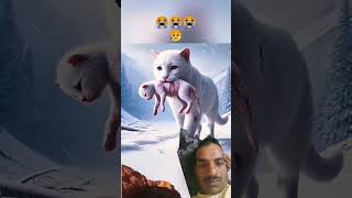 ️⃣🙏youtubeshort video ️⃣shortviral video ️⃣ catlover cat animals ️⃣comedivideo [upl. by Mays288]