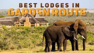 Best Lodges in Garden Route  South Africa [upl. by Wyatt]