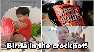 MAKING BIRRIA IN THE CROCKPOT PLAYING IN THE PLAYPEN amp HOME VIDEOS  August 15 2024 [upl. by Marozik]