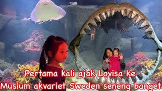 Pertama kali ajak Lovisa ke Musium akvariet Sweden seneng banget [upl. by Aihpledalihp]