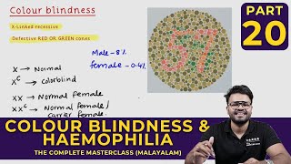 Mastering COLOUR BLINDNESS AND HAEMOPHILIA  Principles of Inheritance and Variations  CLASS 20 [upl. by Narhem400]