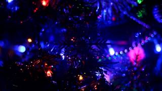 Christmas Tree CloseUp Video  Free HD stock footage [upl. by Nyssa]