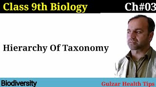 Hierarchy Of Taxonomy  Biodiversity  Class 9 Biology [upl. by Elissa653]