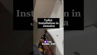 Secrets to Installing a Kohler Toilet Easily [upl. by Aitnuahs980]