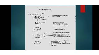 Choromosome Manipulation  Gynogenesis Androgenesis Triploid and Tetraploid fish productionClones [upl. by Yblocaj]