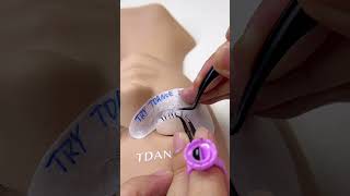 Try TDANCE easy fan lashes now tdancelashes eyelashextensions eyelashes [upl. by Eelarak489]