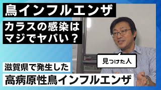 鳥インフルエンザ。カラスの感染はマジでヤバい？滋賀県、高病原性鳥インフルエンザを発見した研究者に聞いてみた。【京都産業大学】 [upl. by Sherman153]