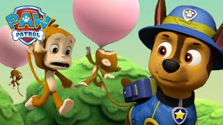 Jungle Pups Rescue the bubble blowing Monkeys  PAW Patrol  Cartoons for Kids Compilation [upl. by Dhumma]