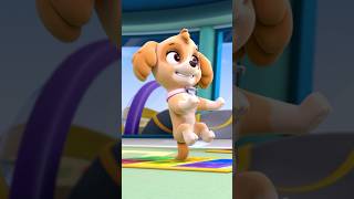 PAW Patrol  Macht den Pup Pup Boogie Tanz mit Skye amp Chase Shorts [upl. by Eila]