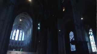 Organ at Chartres Cathedral [upl. by Connelly]