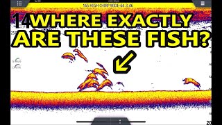 How to locate the fish you see on your fish finder Sonar for beginners Sonar for Dummies [upl. by Acirtap906]