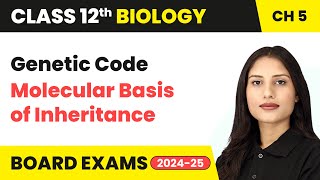 Genetic Code  Molecular Basis of Inheritance  Class 12 Biology Chapter 5  CBSE 202425 [upl. by Tressa772]