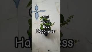 Buying plants ☘️😀Coin plantWandering JewMoney plantshorts shortvideo youtubeshorts [upl. by Oilerua]