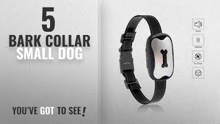 Top 5 Bark Collar Small Dog 2018 Best Sellers Yappy Dog Bark Collar New Version Humanely Stops [upl. by Nod338]