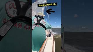 How to backwind the jib to help tack boat boating sustainableenergy Tacking sailing boatlife [upl. by Wehtam275]