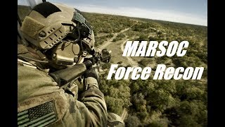 MARSOC amp Force Recon  Tribute 2018 [upl. by Assirral]