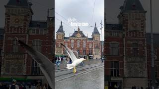 Amsterdam Centraal Station 🚄 shorts travel amsterdam [upl. by Tarazi]