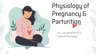 Physiology of Pregnancy by Dr JB Ashraf Ali MD [upl. by Aihpledalihp]