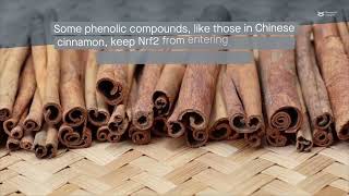 Phenolic compounds Natural anticancer agents [upl. by Bonnibelle910]