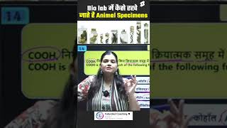 Lab में कैसे रखे जाते हैं सालों साल तक Specimens  By kajal mam facts specimens science [upl. by Wennerholn294]