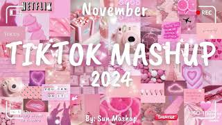 Tiktok Mashup November 💗2024💗 Not Clean [upl. by Otrebron]